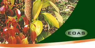 EOAS Organics (Private) Limited