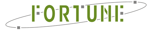 Fortune Marketing Pvt Ltd.
